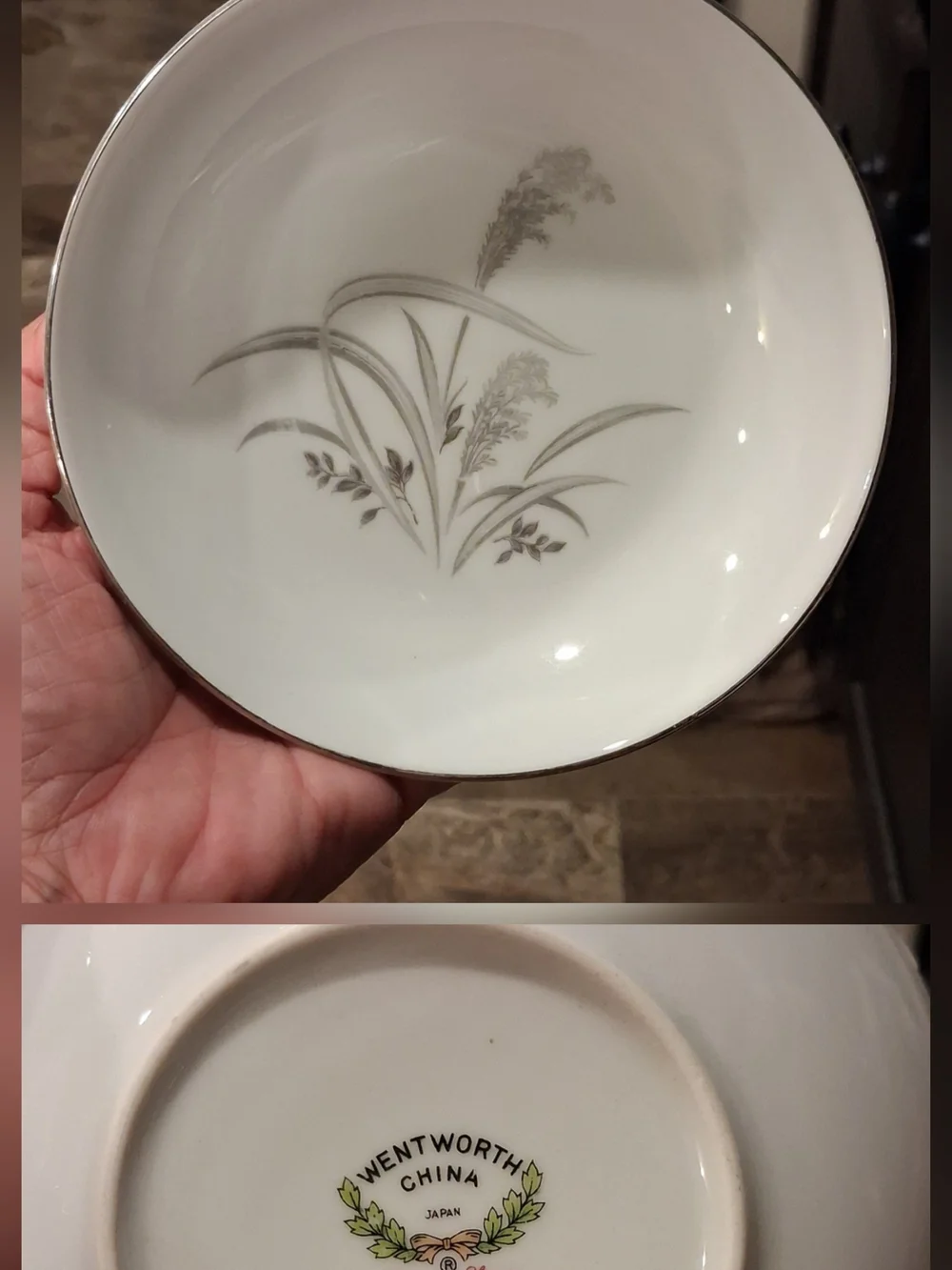 Worth White Dinner Plate with Silver Floral Motif